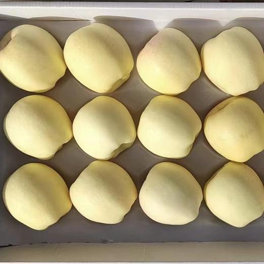 昆悦鲜果 逍駕夼 维纳斯苹果85 12枚（线上包邮） 商品图1