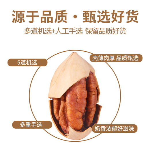 【碧根果】旭东罐装奶香味薄壳大颗粒长寿果百里挑一炒货年货 商品图5