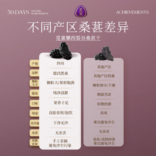 觅菓AA+攀西裂谷桑葚干400g 商品图5
