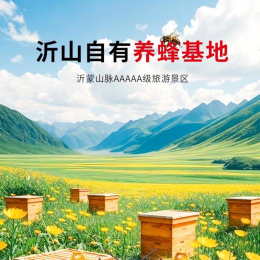 蜂王浆冻干粉0.5g*30瓶/盒 商品图1