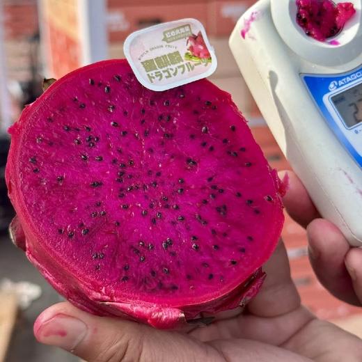 蜜麒麟~红心火龙果【净重约5斤】 商品图8