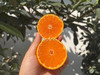 涌泉蜜橘🍊｜核心产区 ✅涌泉蜜桔，一款以地域命名的橘子。 ✅果形整齐，色泽亮丽，果皮细薄~ ✅肉质脆嫩，汁多化渣，品质极优~  商品缩略图2