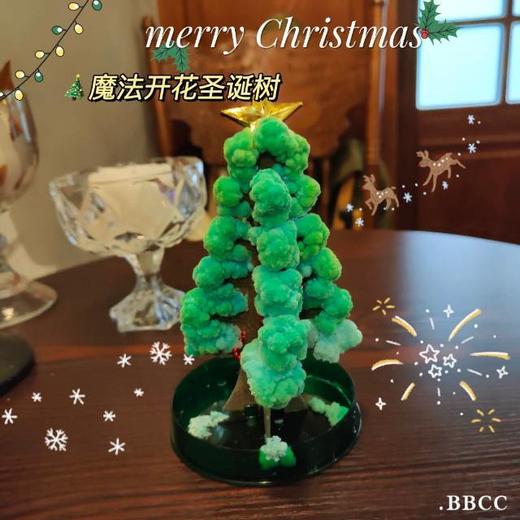 神奇魔法会开花的圣诞树 商品图4