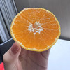 涌泉蜜橘🍊｜核心产区 ✅涌泉蜜桔，一款以地域命名的橘子。 ✅果形整齐，色泽亮丽，果皮细薄~ ✅肉质脆嫩，汁多化渣，品质极优~  商品缩略图1