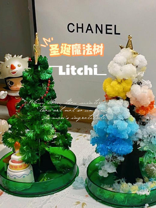 神奇魔法会开花的圣诞树 商品图0
