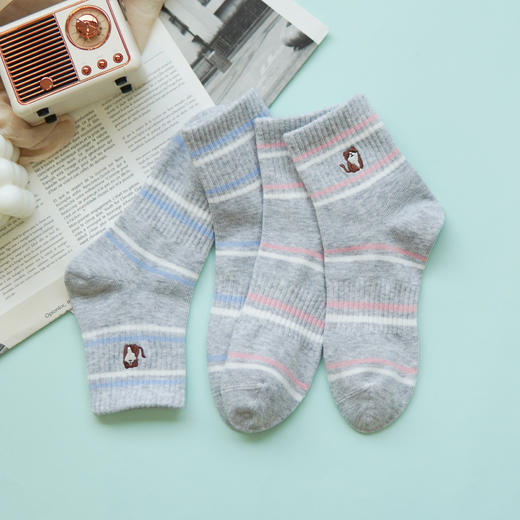 【2双装】女士AB版刺绣时尚袜子四季棉袜运动休闲女袜【6双6折 2522101】 商品图1