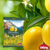 【新品上架】Li King柠檬味糖果150g 酸甜柠檬味 意大利进口 064597 商品缩略图3