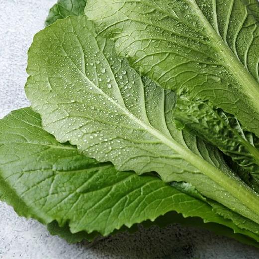 小白菜 250g 商品图3