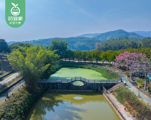 漳州长泰|福友生态农场木屋别墅3床房1间/1晚（周末不用补差）【叼生活】 商品图1