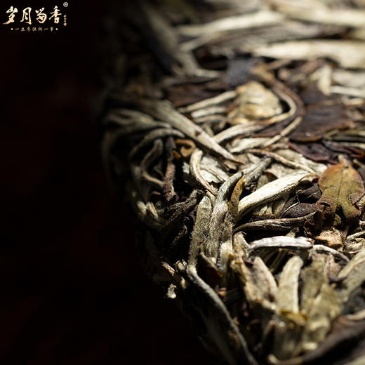 岁月留香·2022冰岛老树牡丹 单饼 350g 商品图3