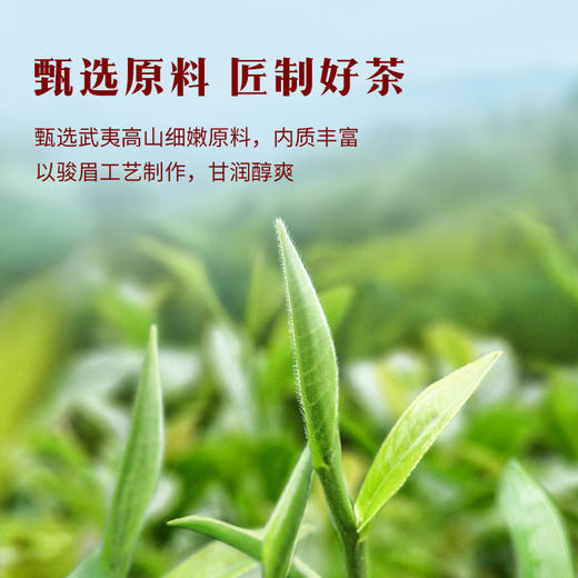 八马茶业｜马到成功骏眉红茶（品相大罐）地标产区正宗原产300g 商品图2