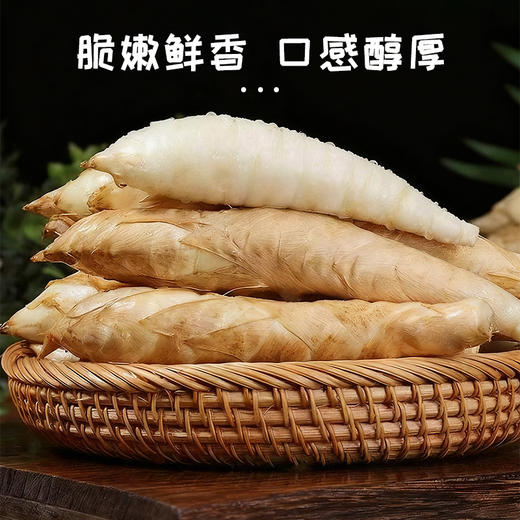 【现挖现发】广东竹薯  农家自种 种竹芋冬粉薯竹笋薯 商品图0