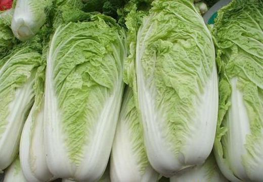 【世纪生活回馈】大白菜（2颗/份）【BJ】 商品图2