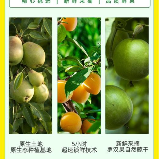 [买2送1]原榨砀山梨膏小勺酥梨枇杷罗汉果营养冲饮干净便携10支装 一勺梨膏 商品图1