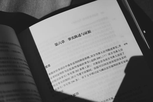 《德国民事诉讼法（第十六版）》赠讲座 商品图8