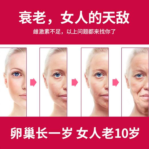 金王纯花粉+伴侣（10g*12袋花粉+3g*12袋伴侣） 商品图4