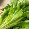 小白菜 250g 商品缩略图4