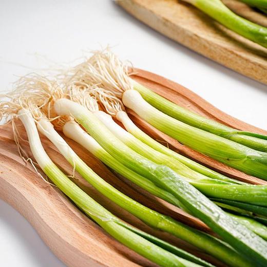 青蒜苗 200g（次日达/配送到家） 商品图2