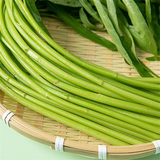 空心菜 1把 商品图2