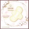 华西20251119-苏菲裸感S贵族系列迷你卫生巾175mm 14片/一包 商品缩略图3