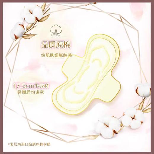 华西20251119-苏菲裸感S贵族系列迷你卫生巾175mm 14片/一包 商品图3