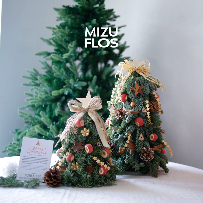 20-40cm 丹麦诺贝松圣诞树-麋鹿森林