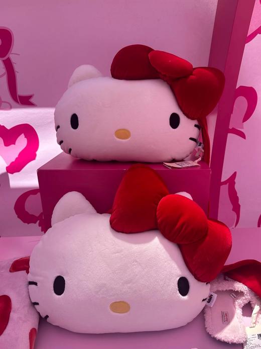 D112537二合一法兰绒抱枕毛毯黑皮豹纹组合毯靠垫 商品图9