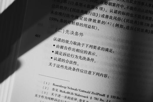 《德国民事诉讼法（第十六版）》赠讲座 商品图3