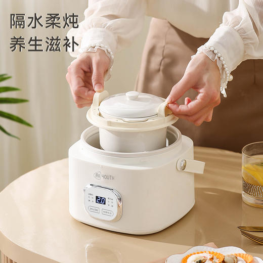 AIYOUTH艾青春多功能锅（降糖饭煲+陶瓷电炖盅）AI-G11 商品图3