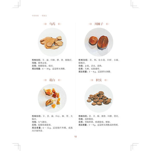 中药外用 一看就会 零基础中医养生 杨帅 聚焦于中医外治法如拔罐 推拿 艾灸 药物外敷等 采用高清拍摄1000+图 上海科学技术出版社 商品图4