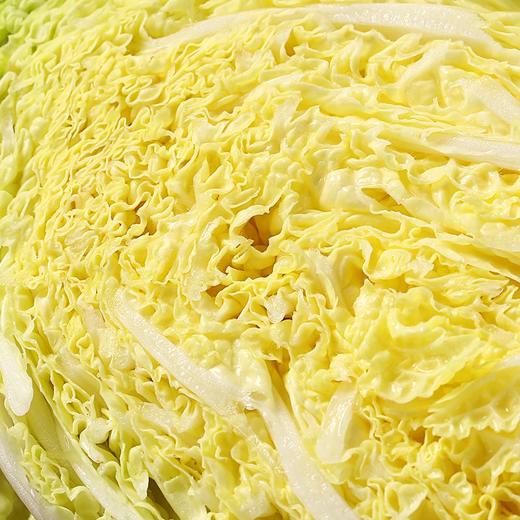 大娃娃菜 1颗 商品图4