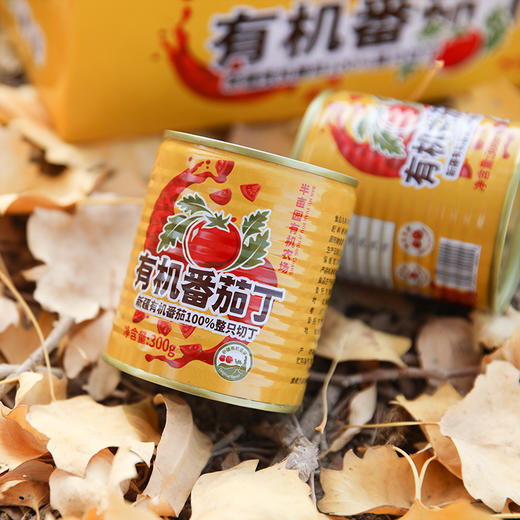 半亩园新疆有机番茄丁 净重300g*6罐 商品图1