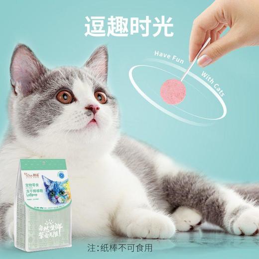朗诺冻干棒棒糖混合口味3袋-猫用 4.2g 商品图2
