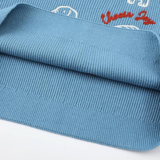 D112526刺绣针织衫宽松女2025秋冬季新款设计感休闲长袖毛衣 商品图14