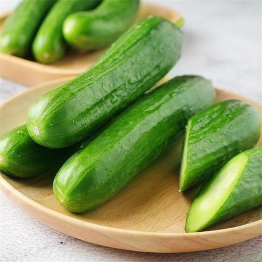 荷兰黄瓜 1根 商品图3