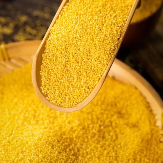 疯抢中！！现磨现发【世界小米之乡·敖汉有机地标小米】色泽晶莹剔透 颗粒饱满 营养丰富 2.5kg/手提袋包装 商品图5