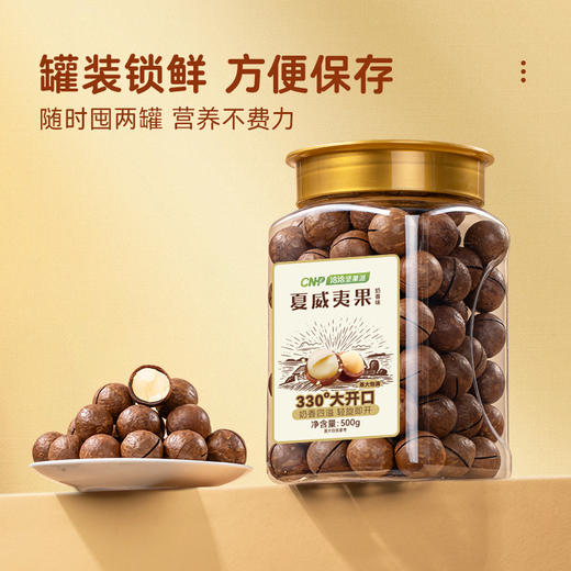 【长期集采】洽洽坚果派夏威夷果奶香味罐装500g/实惠装 商品图4