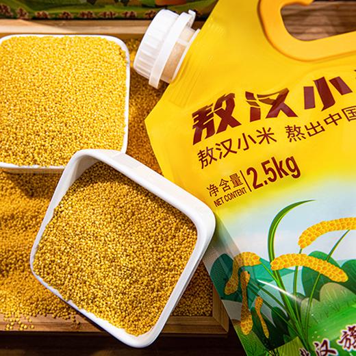 疯抢中！！现磨现发【世界小米之乡·敖汉有机地标小米】色泽晶莹剔透 颗粒饱满 营养丰富 2.5kg/手提袋包装 商品图9