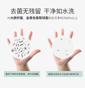 华西20251119-诗乐氏卫生湿巾1片/一片