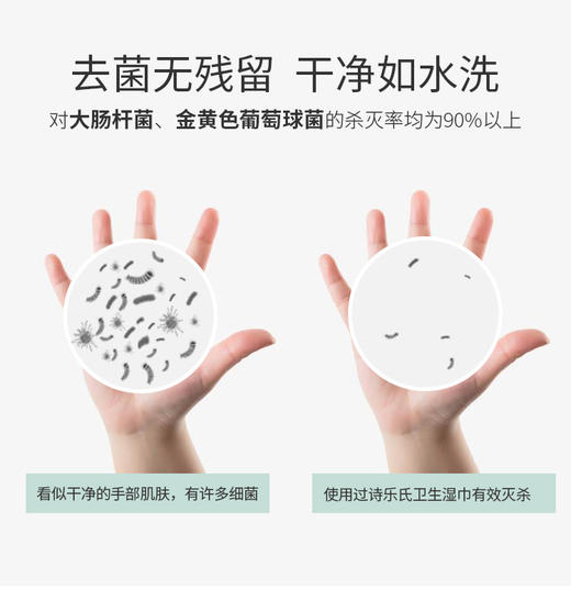 华西20251119-诗乐氏卫生湿巾1片/一片 商品图0