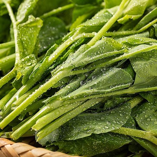 豌豆尖 200g 商品图2