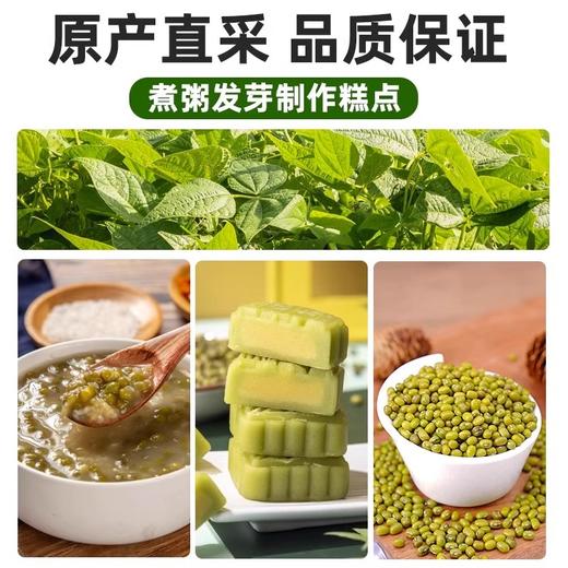 野三坡 优选绿豆 1kg*1罐 商品图4