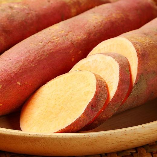 红薯 500g 商品图2