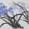 卓愿《鸢尾花》45.5x70CM 手绘纸本宣纸国画作品 商品缩略图4