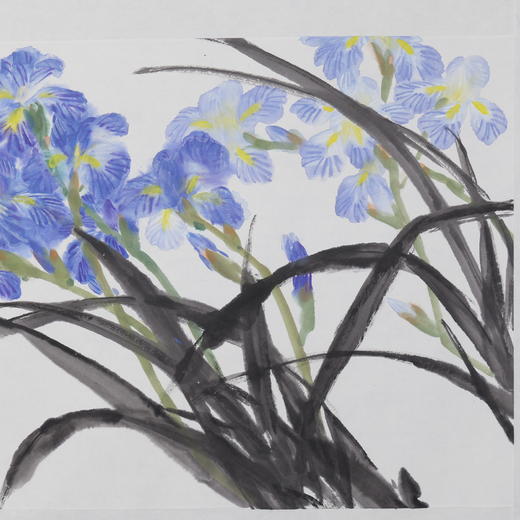 卓愿《鸢尾花》45.5x70CM 手绘纸本宣纸国画作品 商品图4