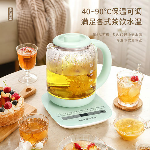 AIYOUTH艾青春养生壶AI-YSH818（带滤网） 商品图7