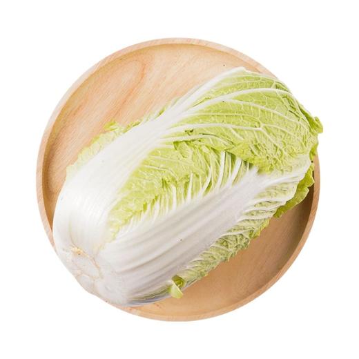 大白菜 1颗 商品图0