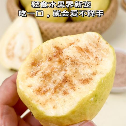 疯抢中！！现摘现发【中国台湾改良版·红心奶油芭乐】营养丰富 果肉软糯 柔嫩多汁 精美包装/礼盒装 商品图4