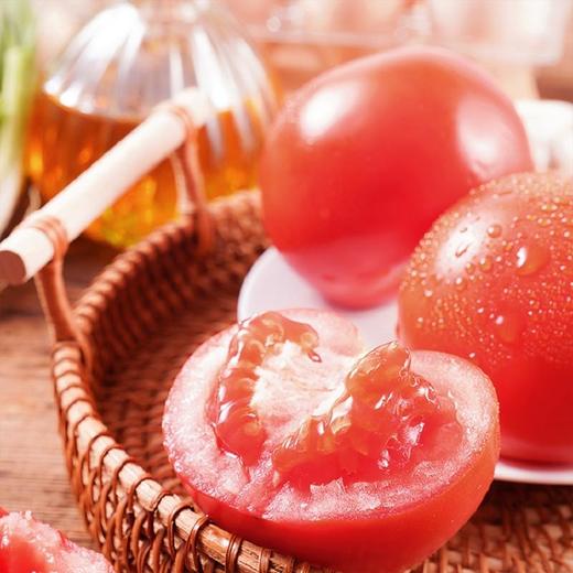 番茄 500g 商品图3