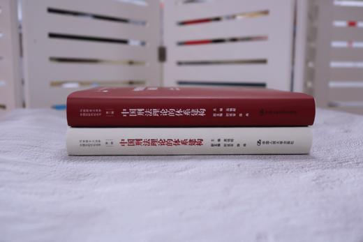 中国刑法理论的体系建构（马克思主义法学中国化时代化丛书·第一辑；国家出版基金项目） 商品图2
